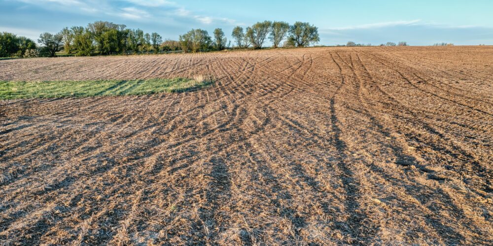 Photo of dry farm field