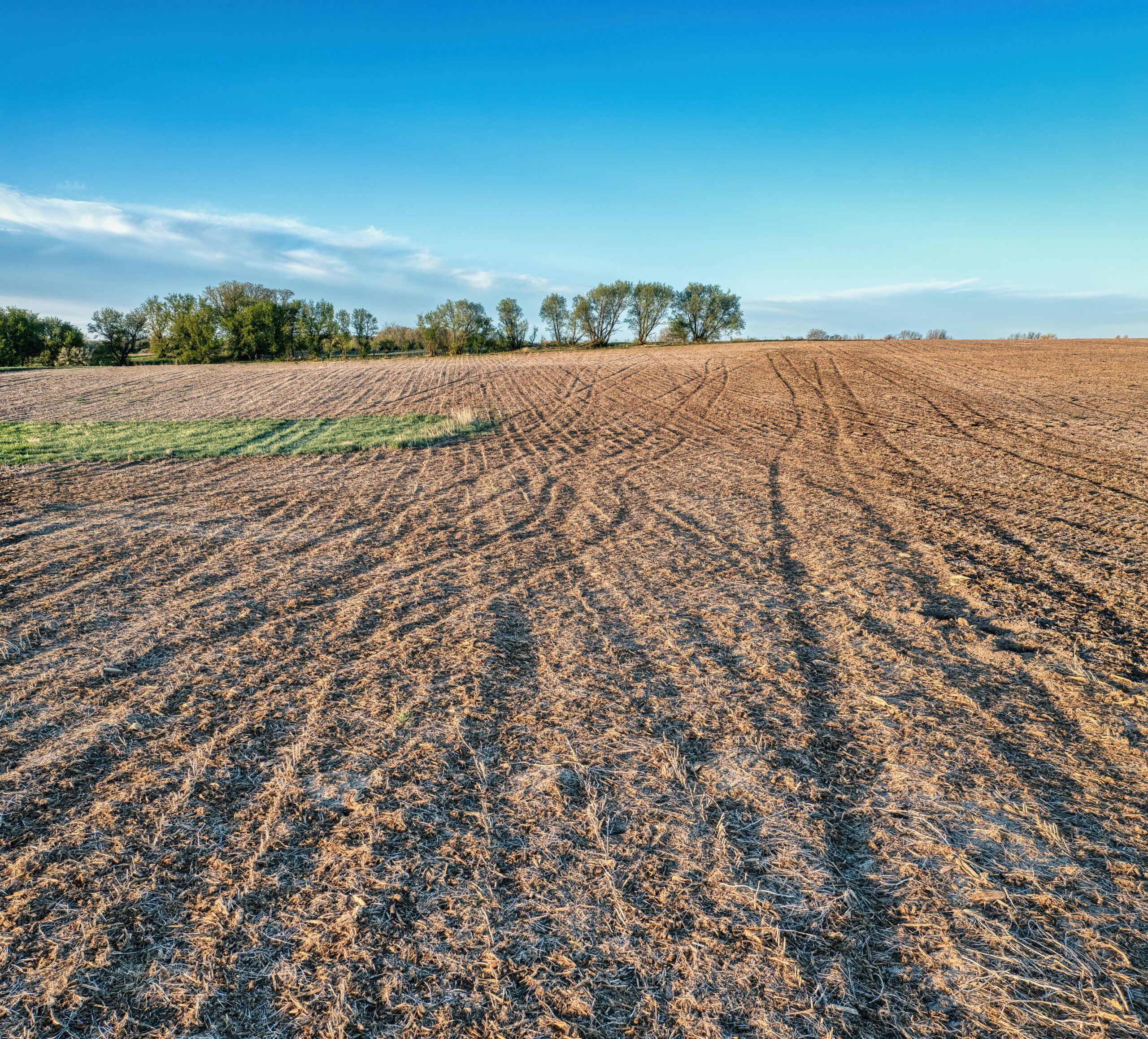 Photo of dry farm field