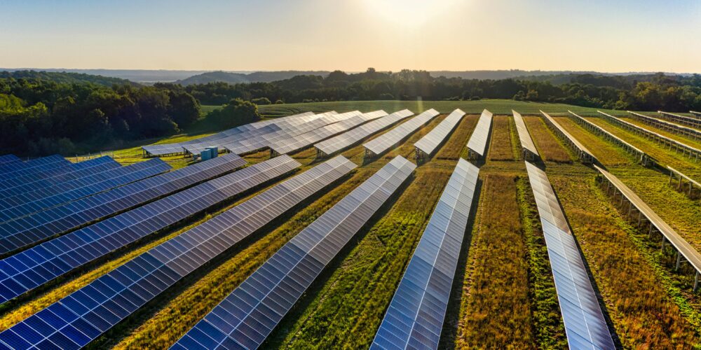 Photo of solar panels in a field with the sun shining in the sky