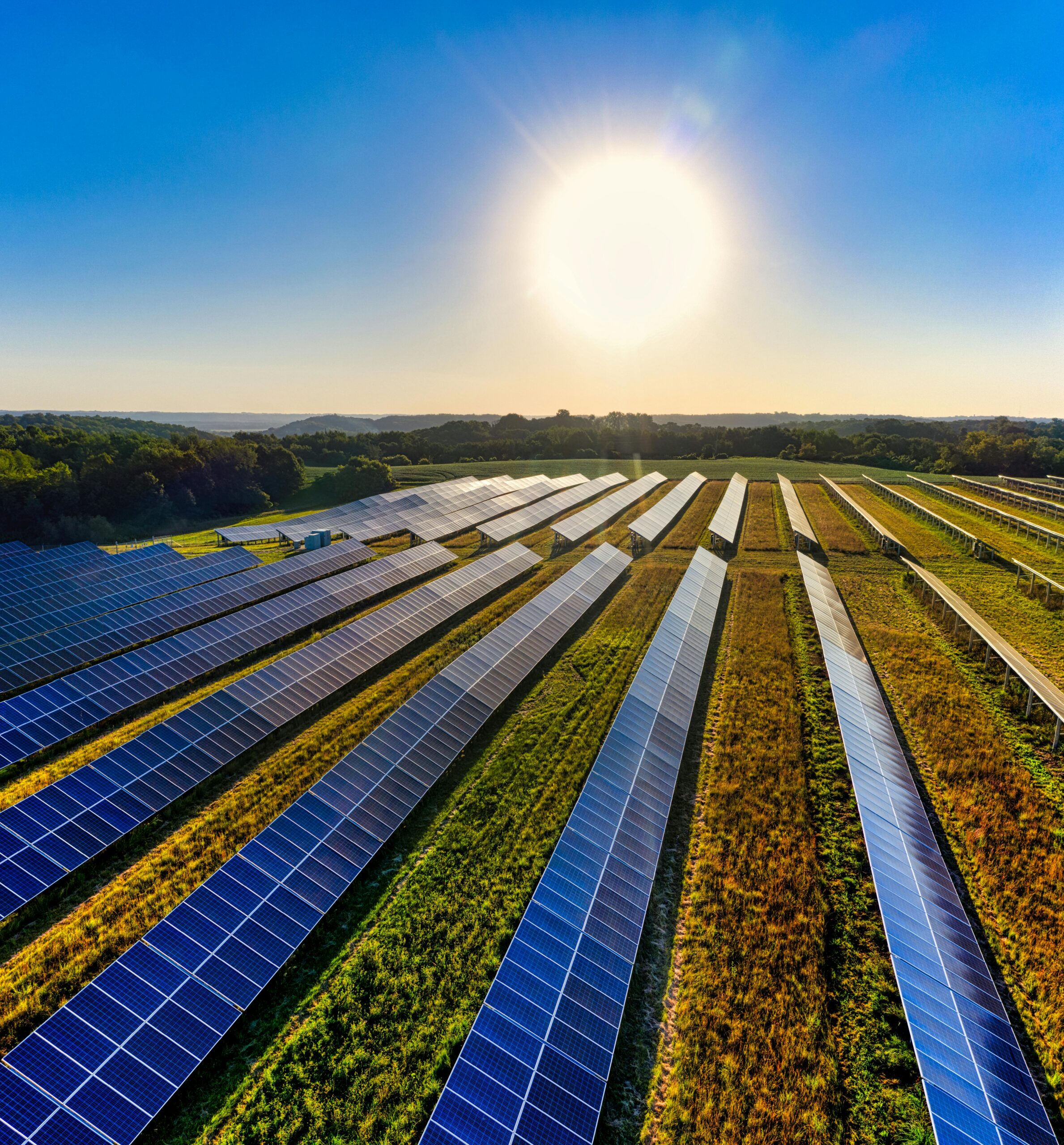 Photo of solar panels in a field with the sun shining in the sky